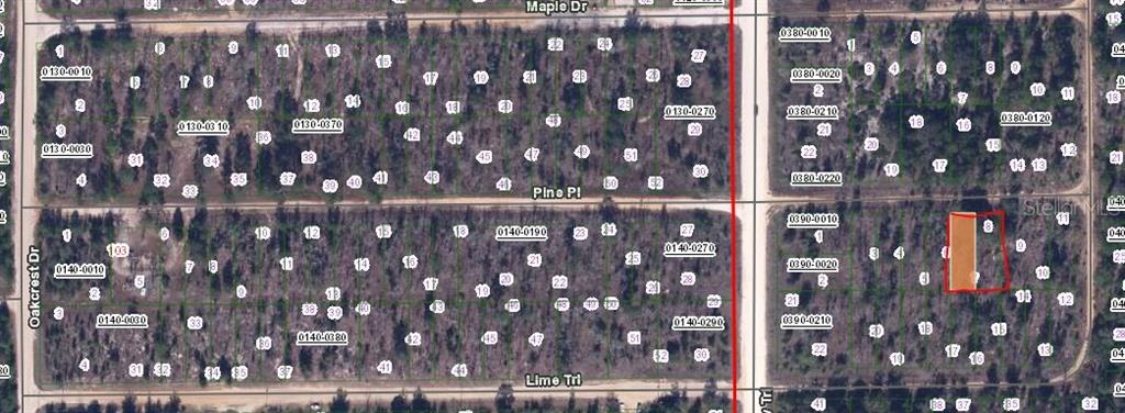00 PINE PL, INTERLACHEN, FL — photo 3