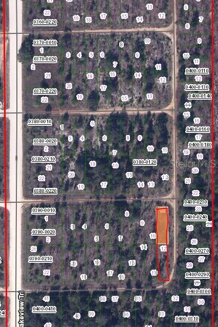 00 CYPRESS TRL, INTERLACHEN, FL — photo 3