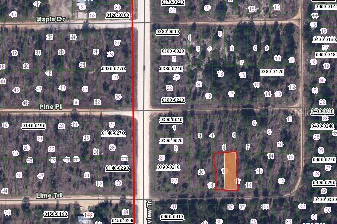 00 LIME ST, INTERLACHEN, FL — photo 3