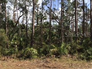 LOLLY RD, NORTH PORT, FL
