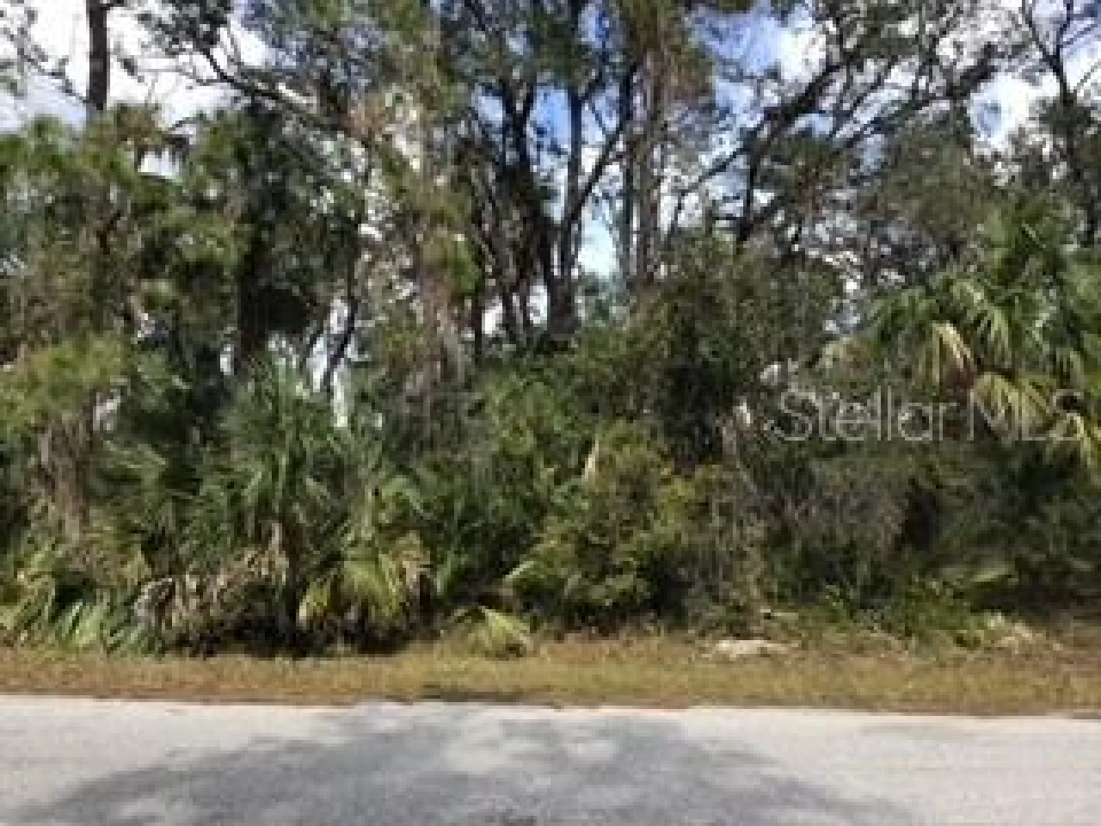 LAGRANGE AVE, NORTH PORT, FL — photo 2