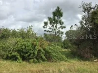 PERENNIAL RD — photo 2