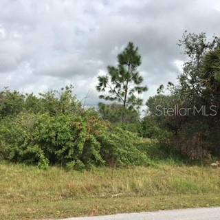 PERENNIAL RD, NORTH PORT, FL
