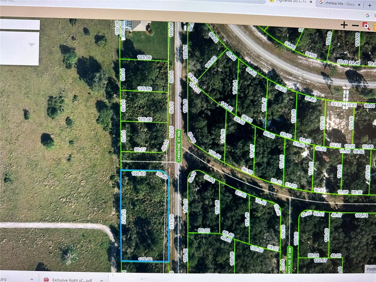 316 CHRISTINE ST NW, LAKE PLACID, FL — photo 5
