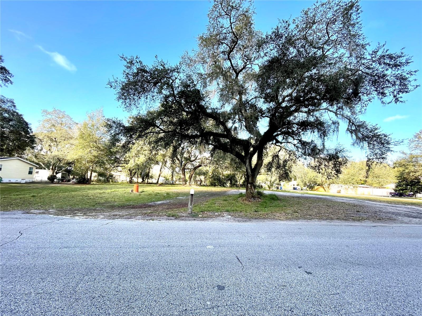 14820 N 15TH ST, LUTZ, FL — photo 2