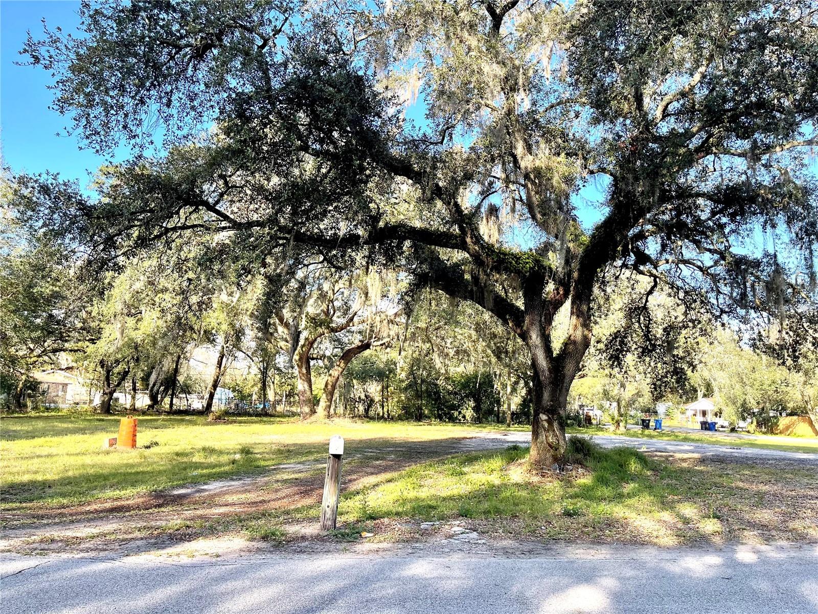14820 N 15TH ST, LUTZ, FL — photo 3