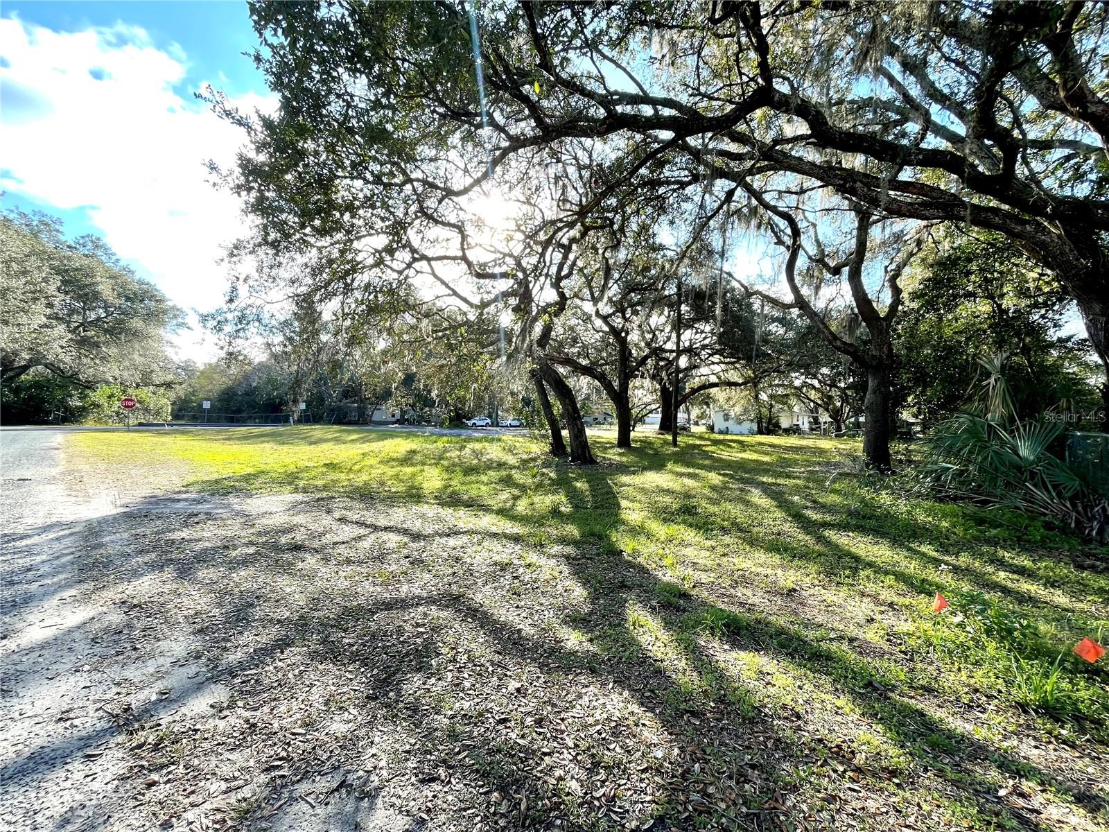 14820 N 15TH ST, LUTZ, FL — photo 10