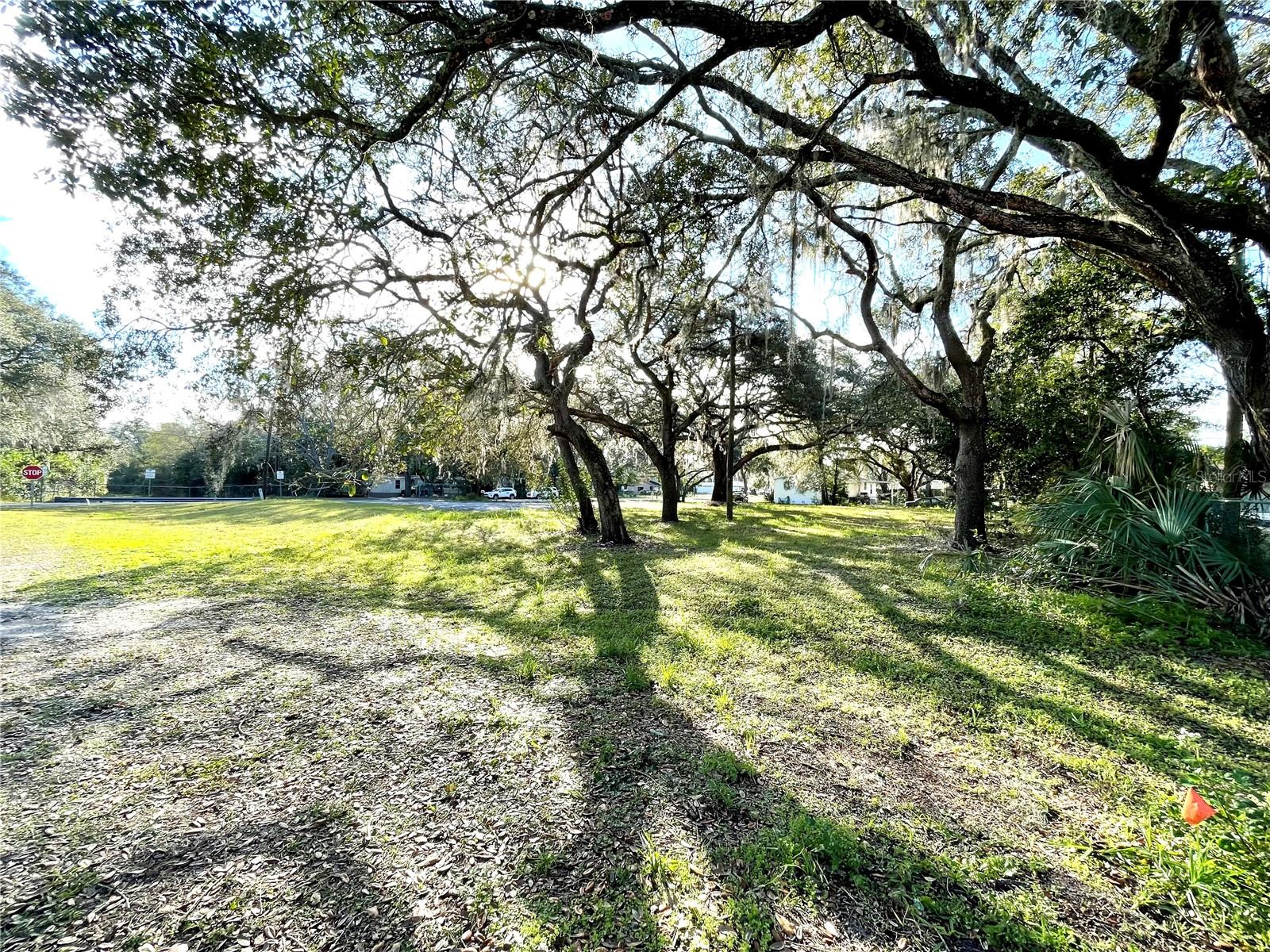 14820 N 15TH ST, LUTZ, FL — photo 11