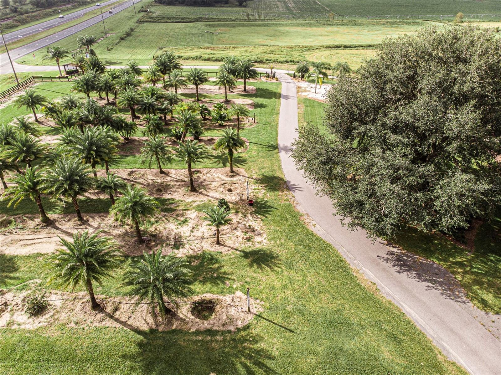 13494 N US HWY 301, OXFORD, FL — photo 8
