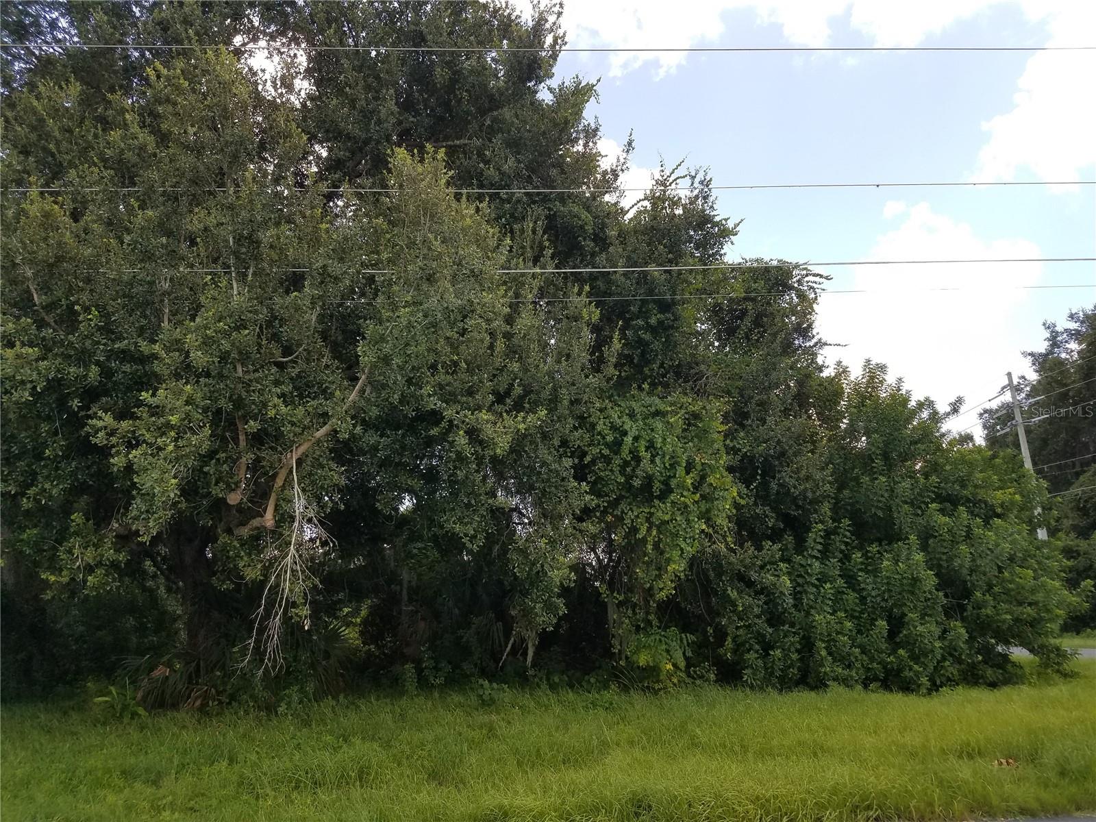 , KISSIMMEE, FL — photo 5
