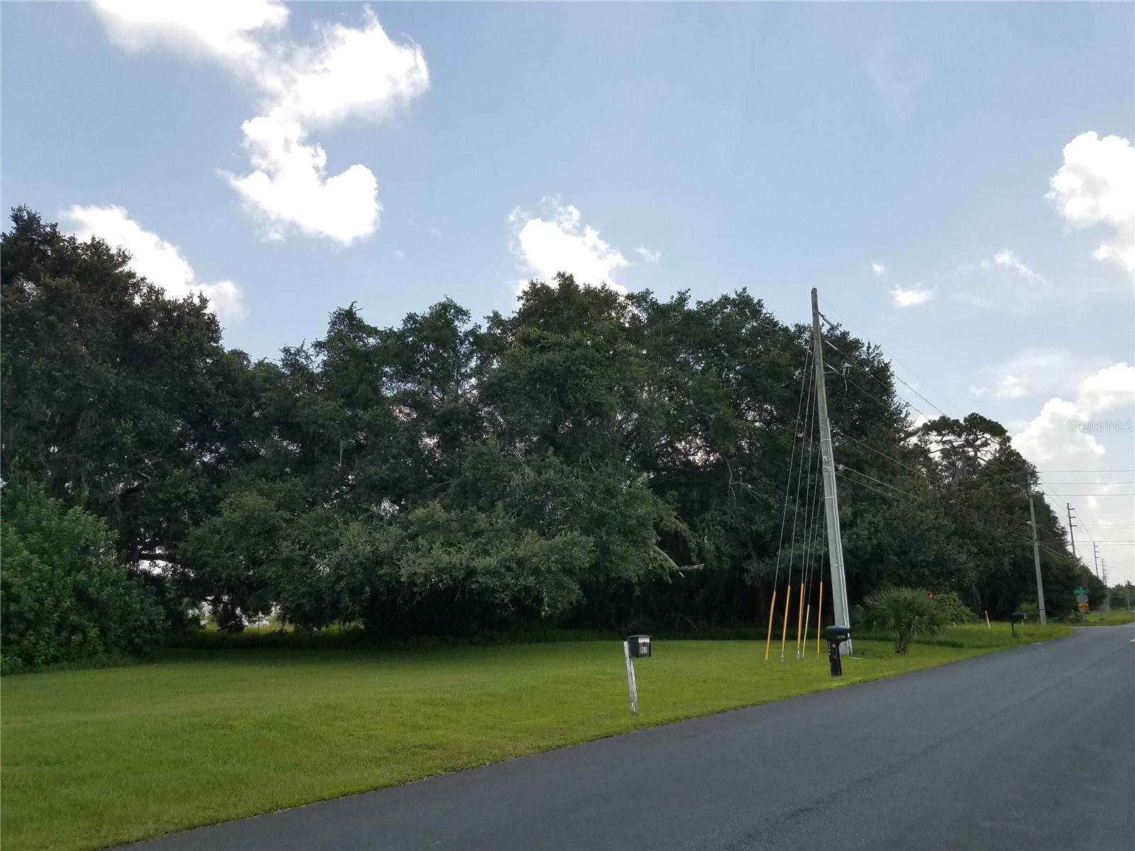 , KISSIMMEE, FL — photo 9