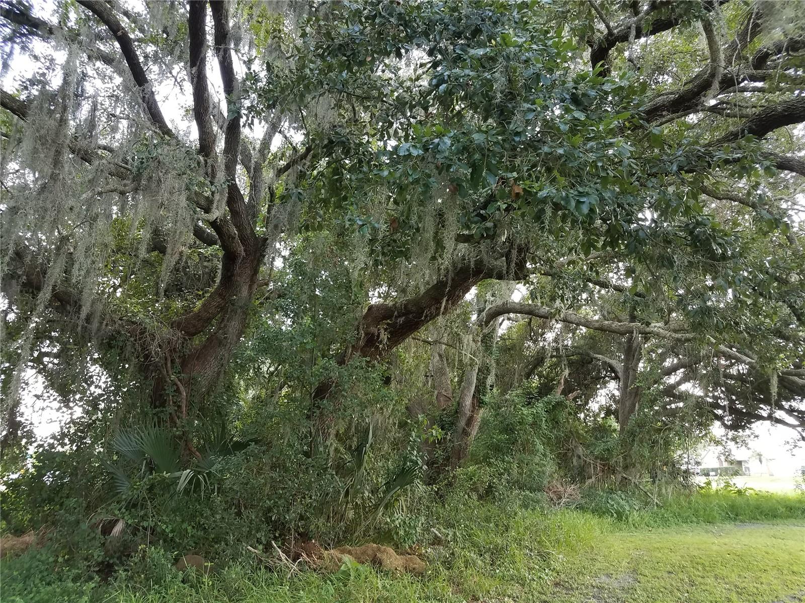 , KISSIMMEE, FL — photo 12