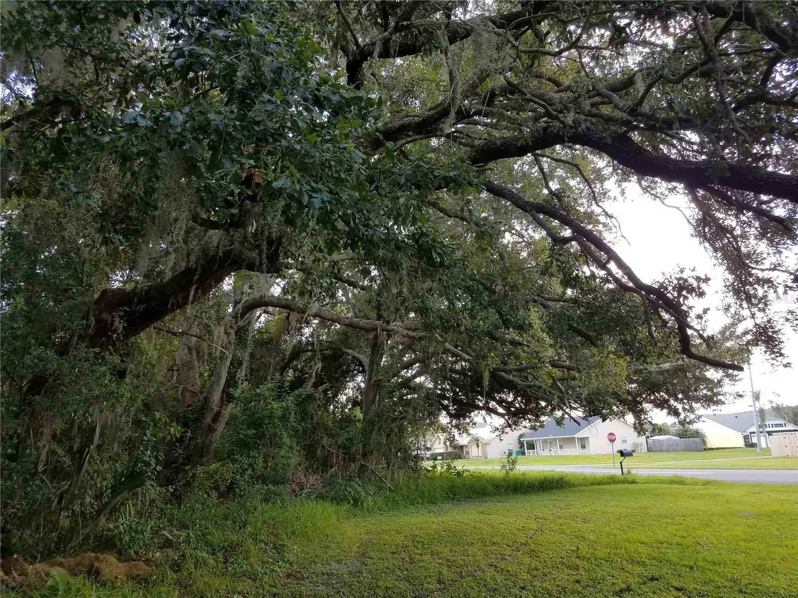 , KISSIMMEE, FL — photo 13