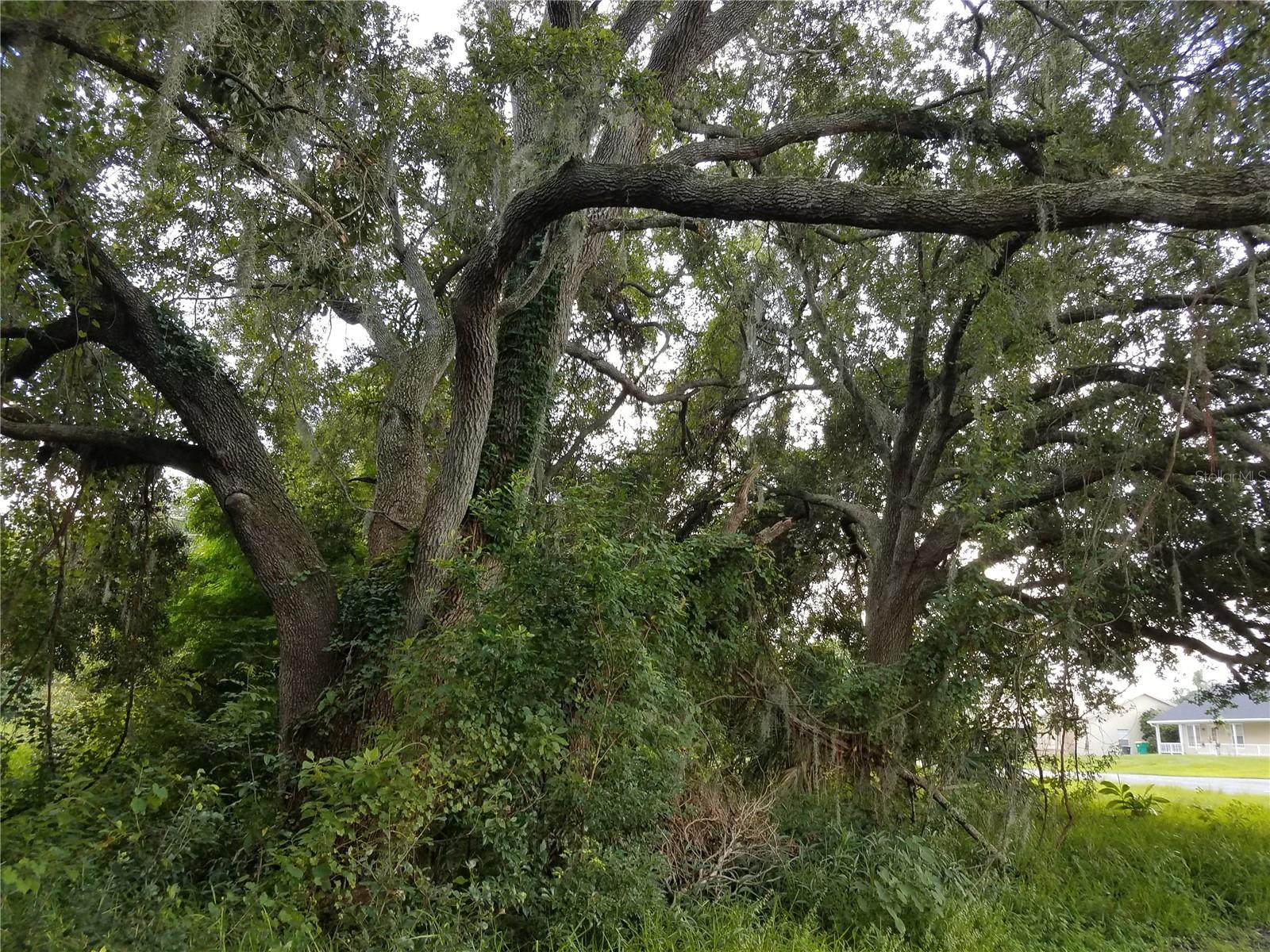 , KISSIMMEE, FL — photo 14