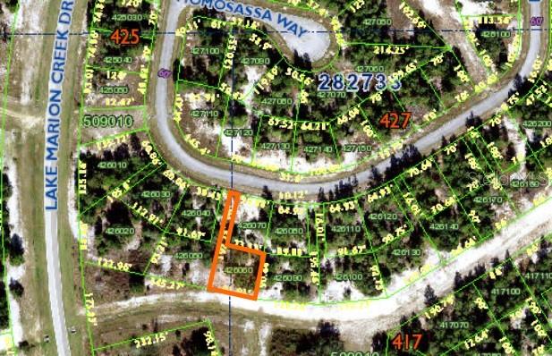 1352 HOMOSASSA DR, POINCIANA, FL