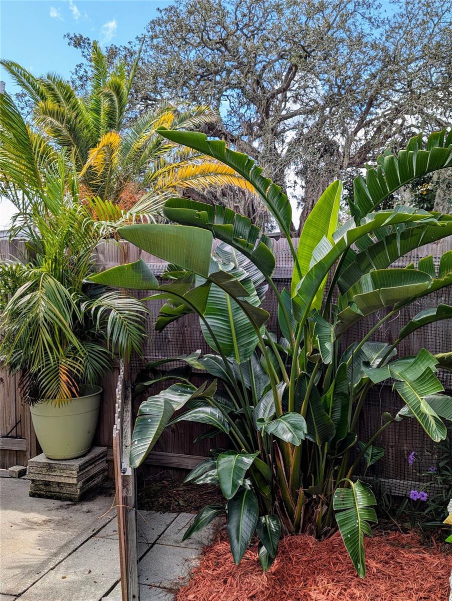 , HOLIDAY, FL — photo 22
