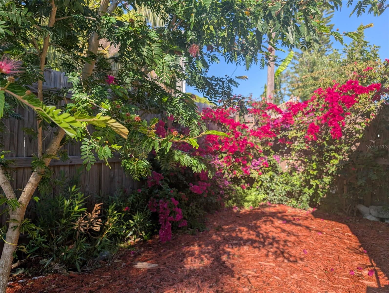 , HOLIDAY, FL — photo 25
