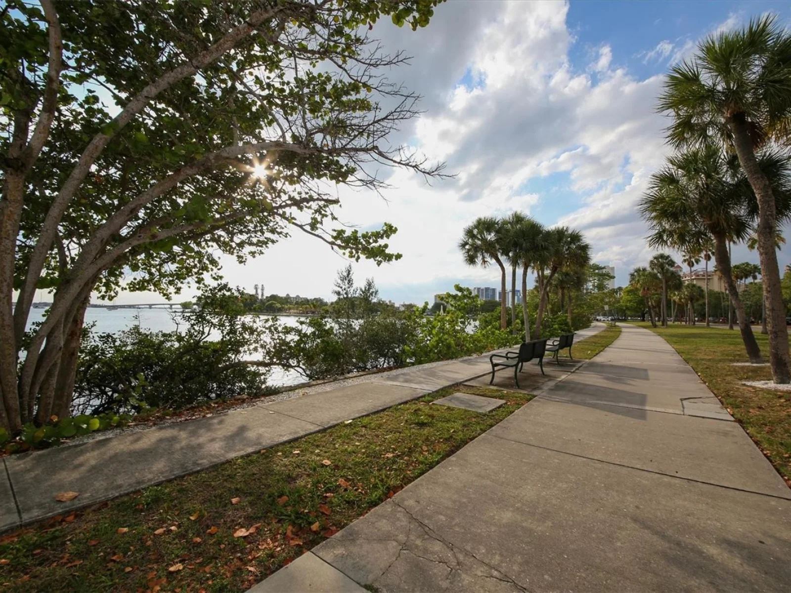 2441 NOVUS ST, SARASOTA, FL — photo 78