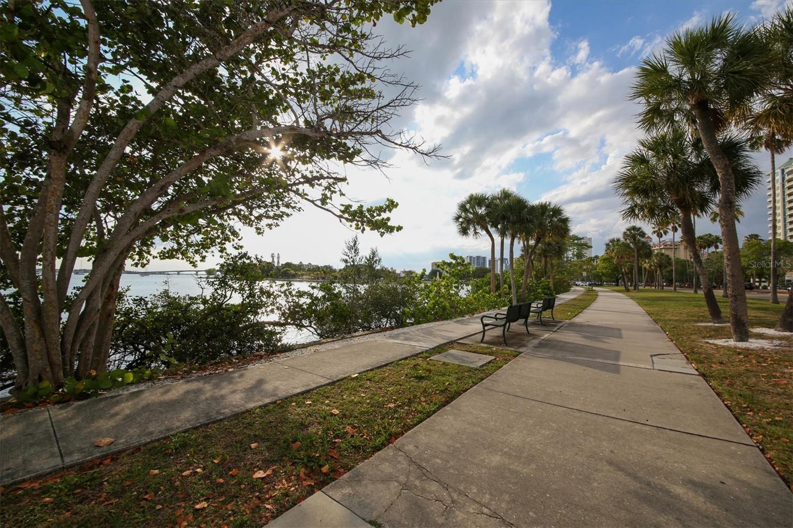 2441 NOVUS ST, SARASOTA, FL — photo 77