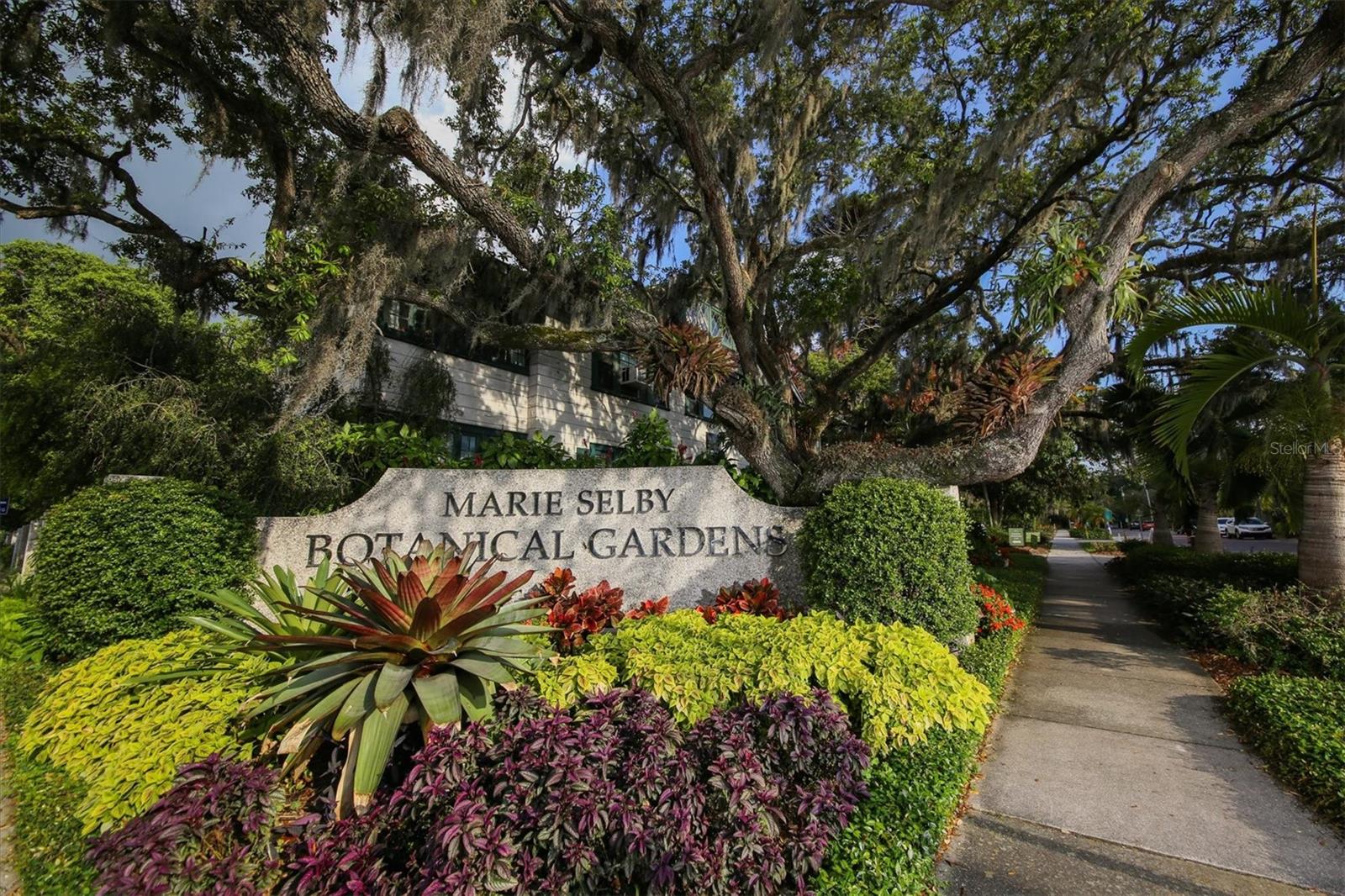 2441 NOVUS ST, SARASOTA, FL — photo 75