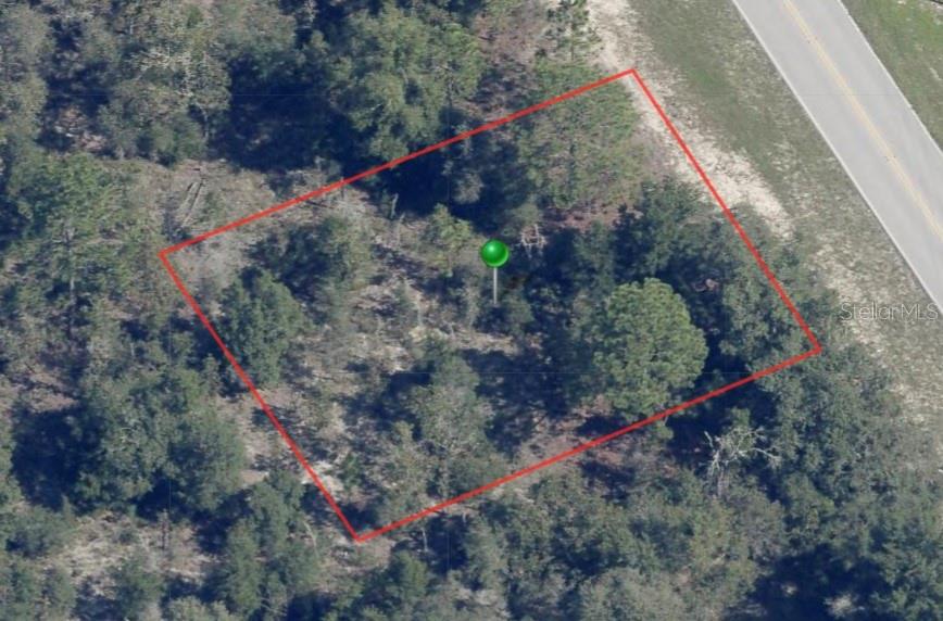 8242 N ELKCAM BLVD, CITRUS SPRINGS, FL