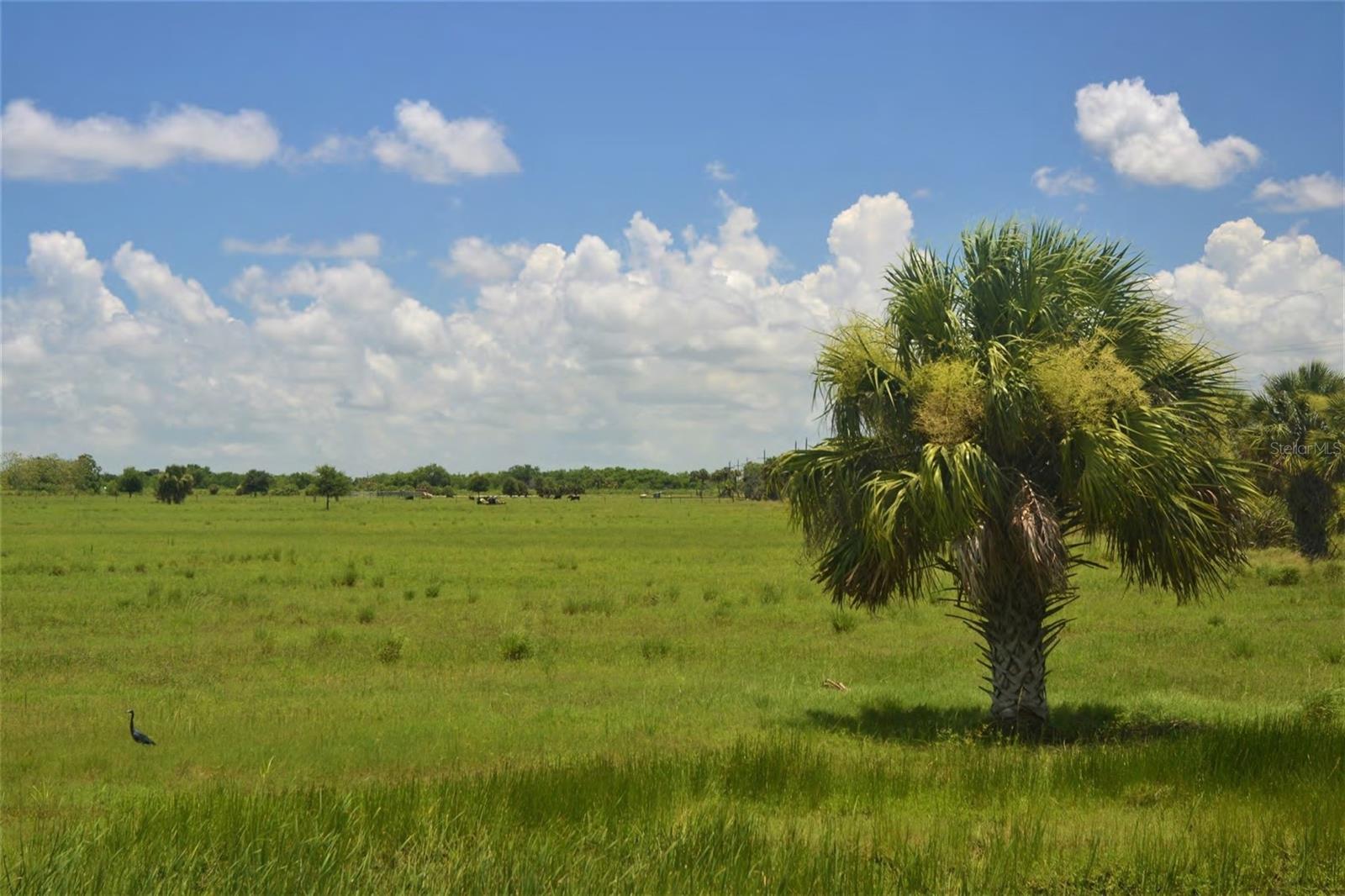 SCHUMANN RD, FORT PIERCE, FL — photo 3