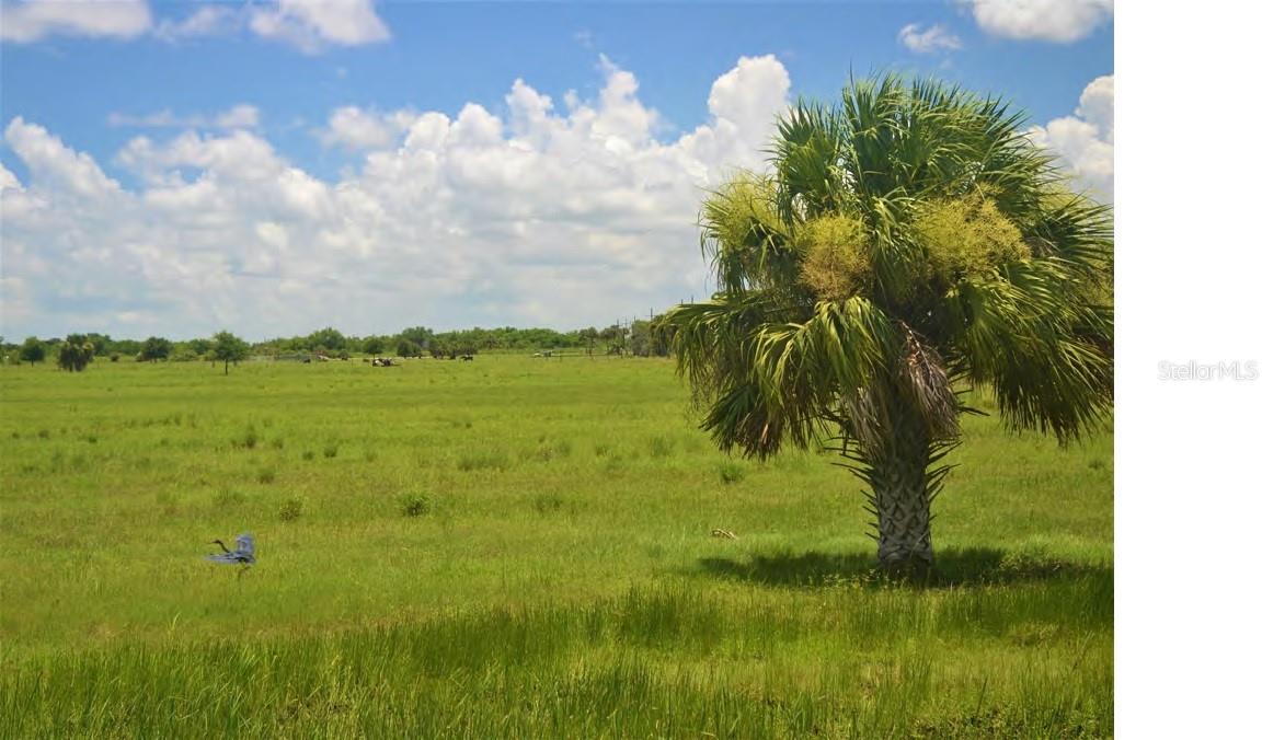 SCHUMANN RD, FORT PIERCE, FL — photo 7