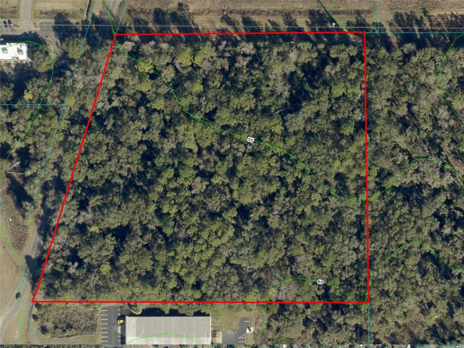 HWY 441 and W ANTHONY RD, OCALA, FL — photo 4