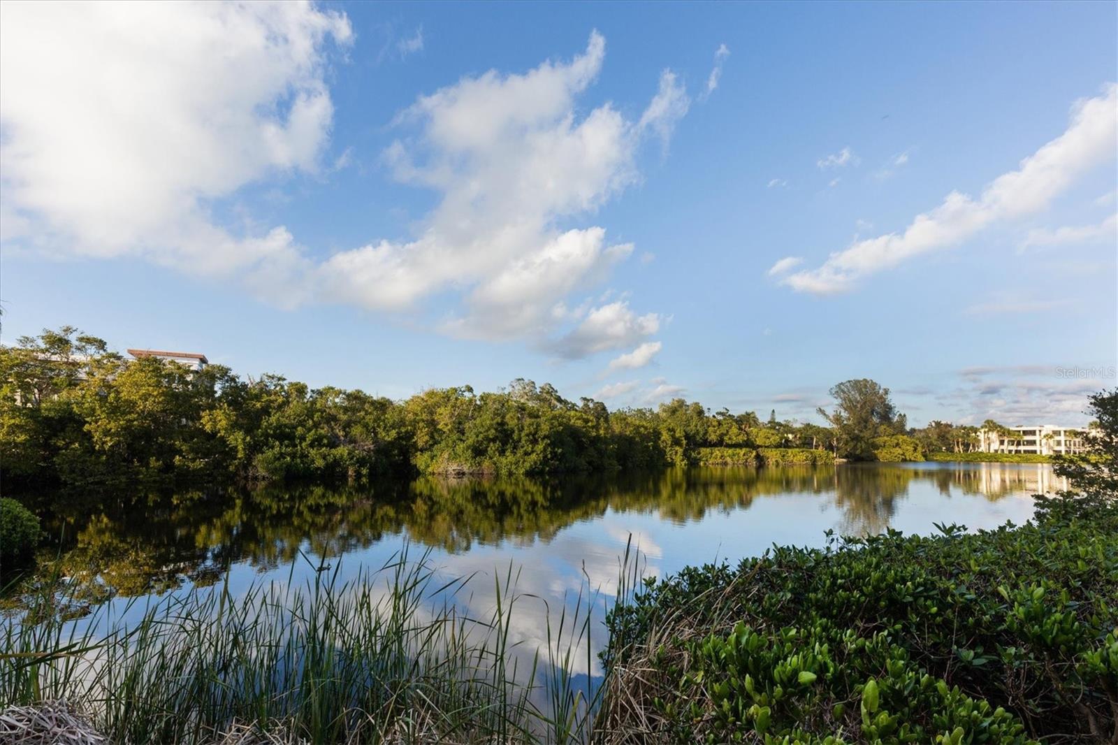 20 WHISPERING SANDS DR #903, SARASOTA, FL — photo 34