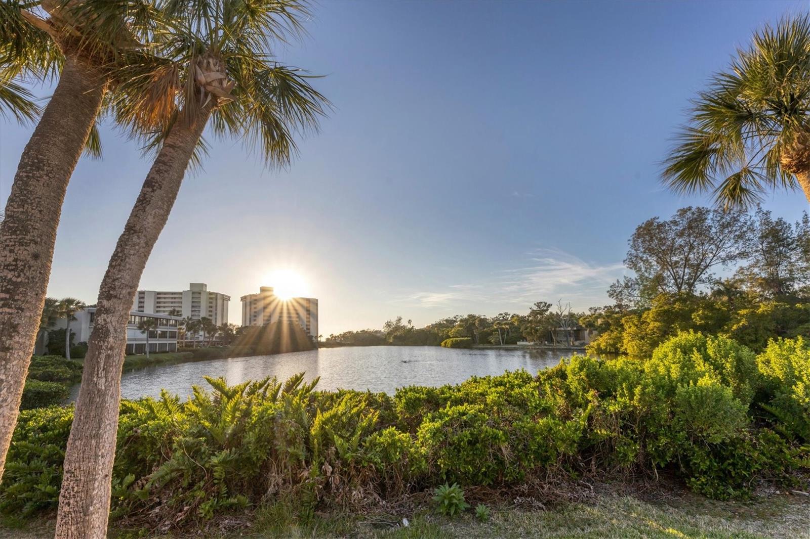 20 WHISPERING SANDS DR #903, SARASOTA, FL — photo 41
