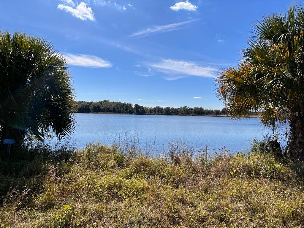 3412 LAKE DIANE RD #67, TAVARES, FL — photo 3