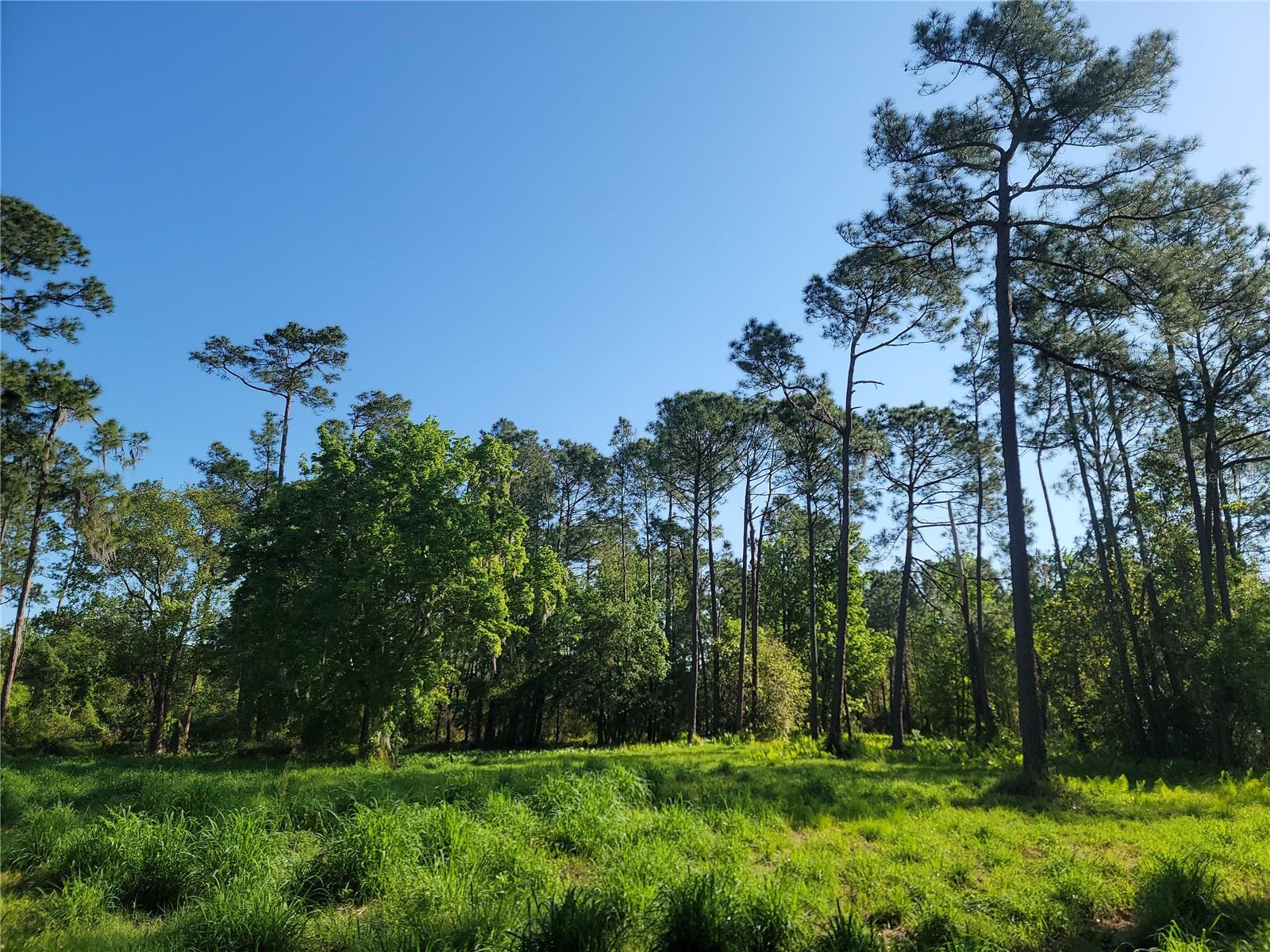 POLLARD ROAD, WINTER HAVEN, FL