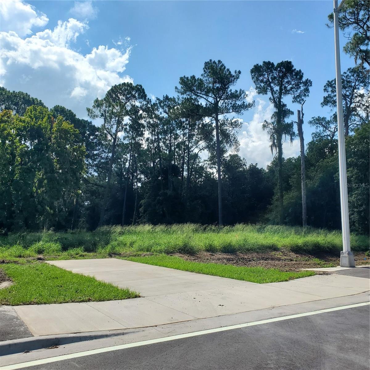 POLLARD ROAD, WINTER HAVEN, FL — photo 4