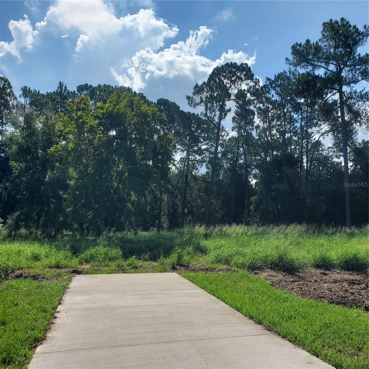 POLLARD ROAD, WINTER HAVEN, FL — photo 5