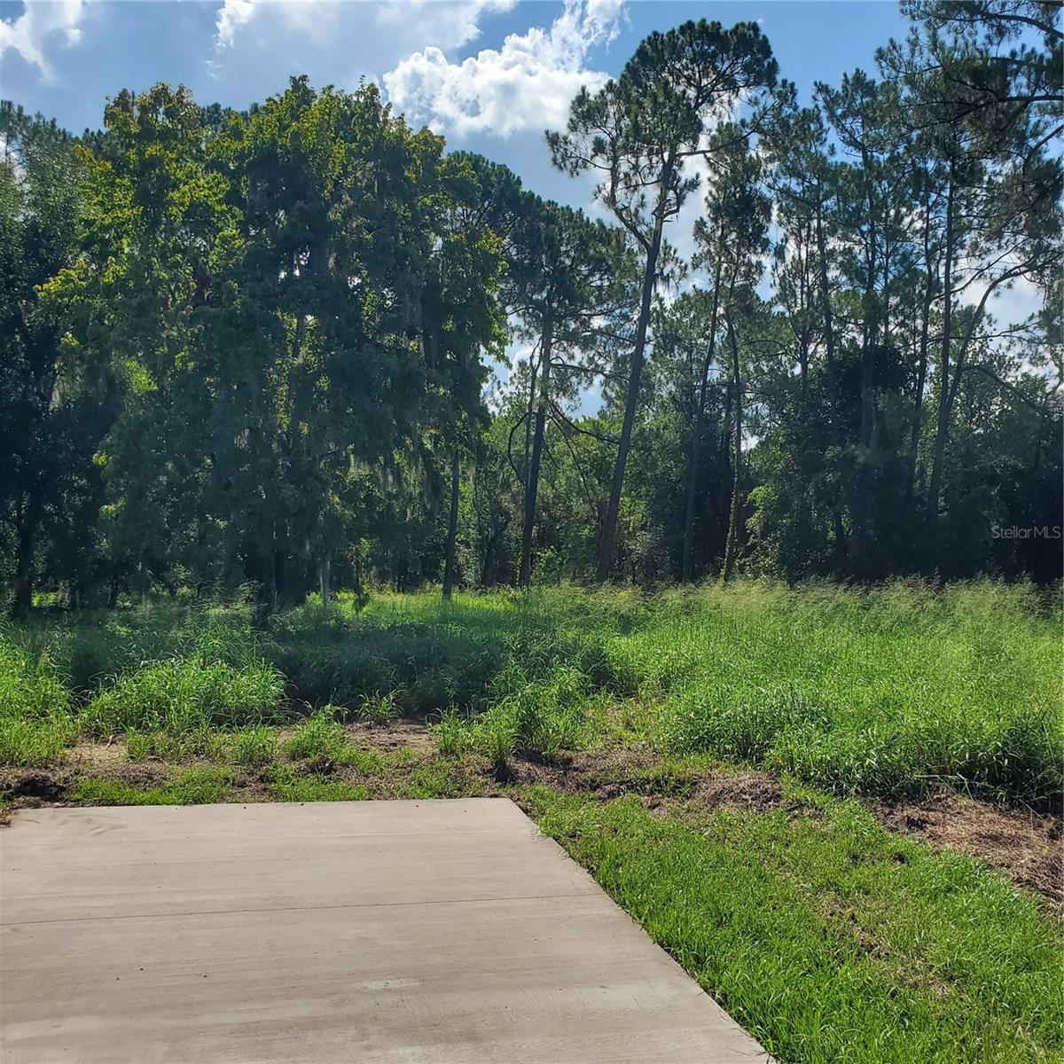 POLLARD ROAD, WINTER HAVEN, FL — photo 6
