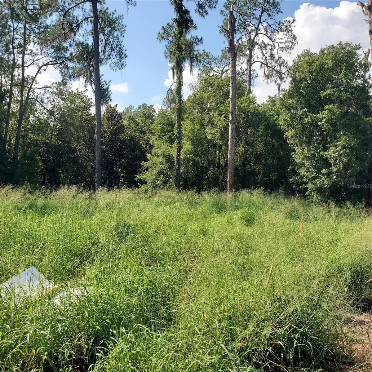 POLLARD ROAD, WINTER HAVEN, FL — photo 7