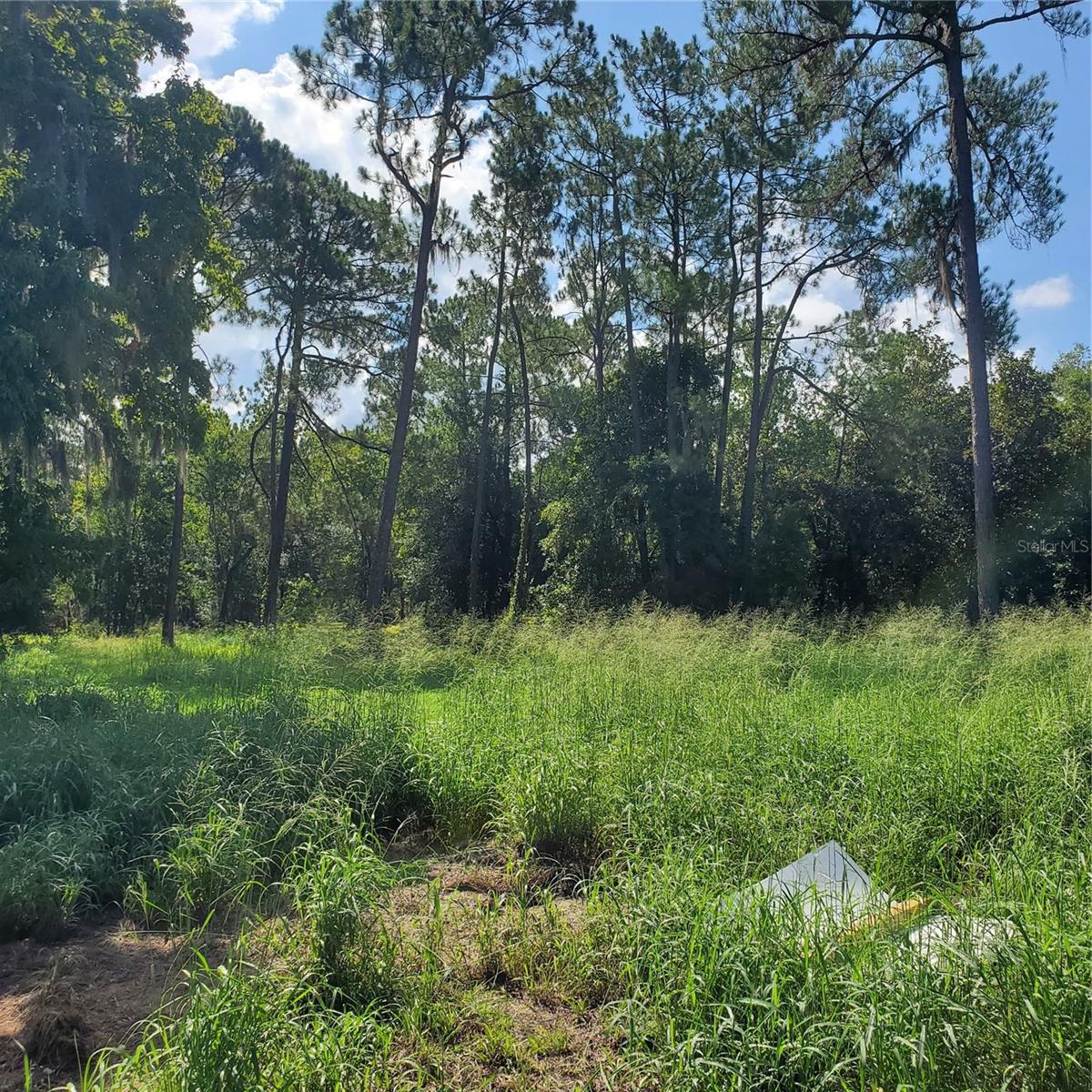 POLLARD ROAD, WINTER HAVEN, FL — photo 8