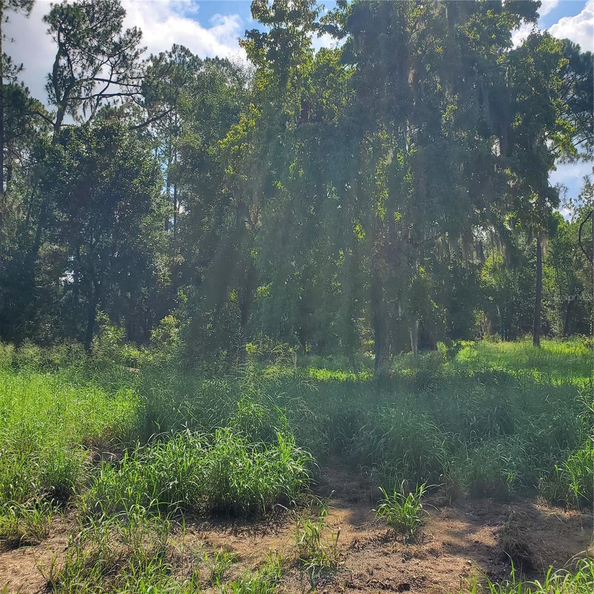 POLLARD ROAD, WINTER HAVEN, FL — photo 9