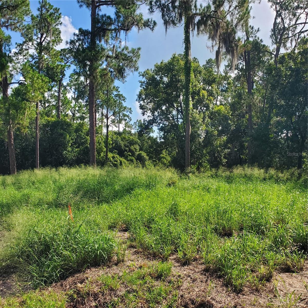 POLLARD ROAD, WINTER HAVEN, FL — photo 10