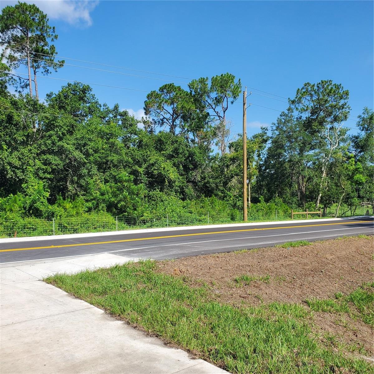 POLLARD ROAD, WINTER HAVEN, FL — photo 12