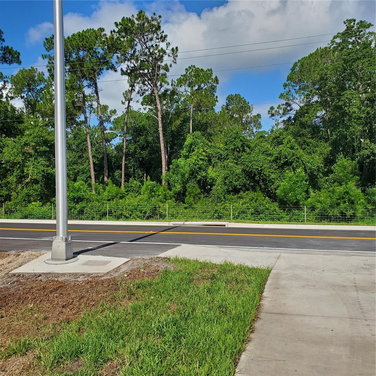 POLLARD ROAD, WINTER HAVEN, FL — photo 13