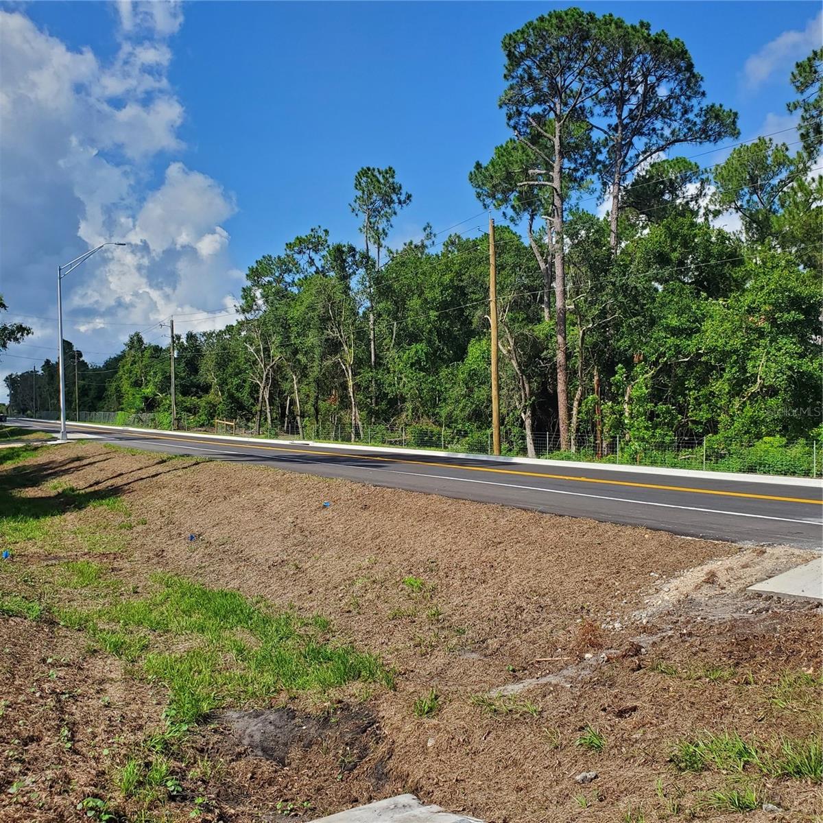POLLARD ROAD, WINTER HAVEN, FL — photo 14