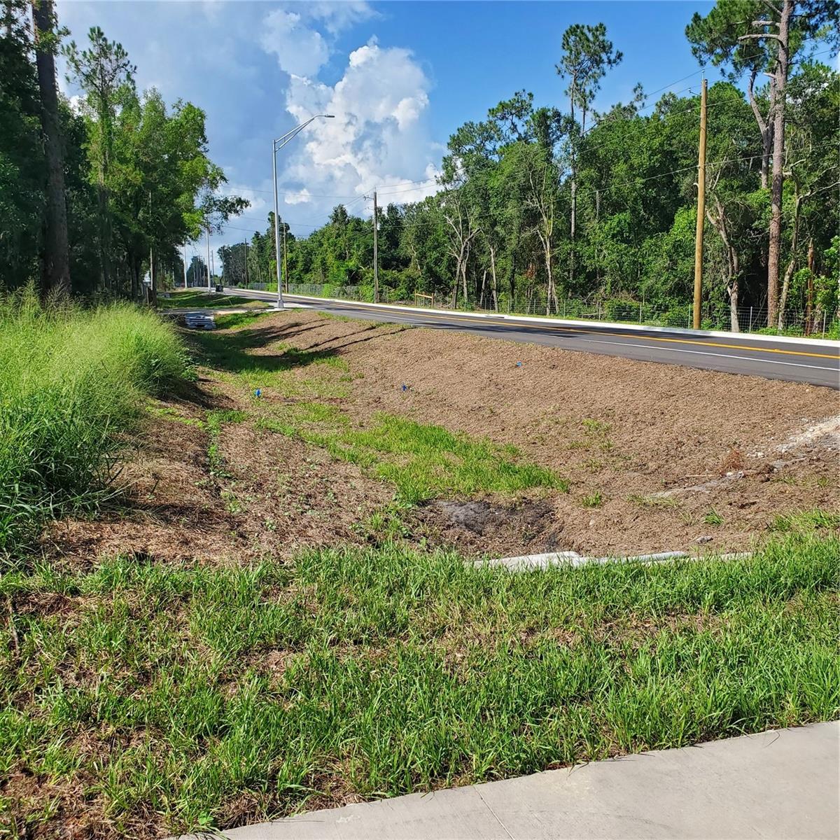 POLLARD ROAD, WINTER HAVEN, FL — photo 15