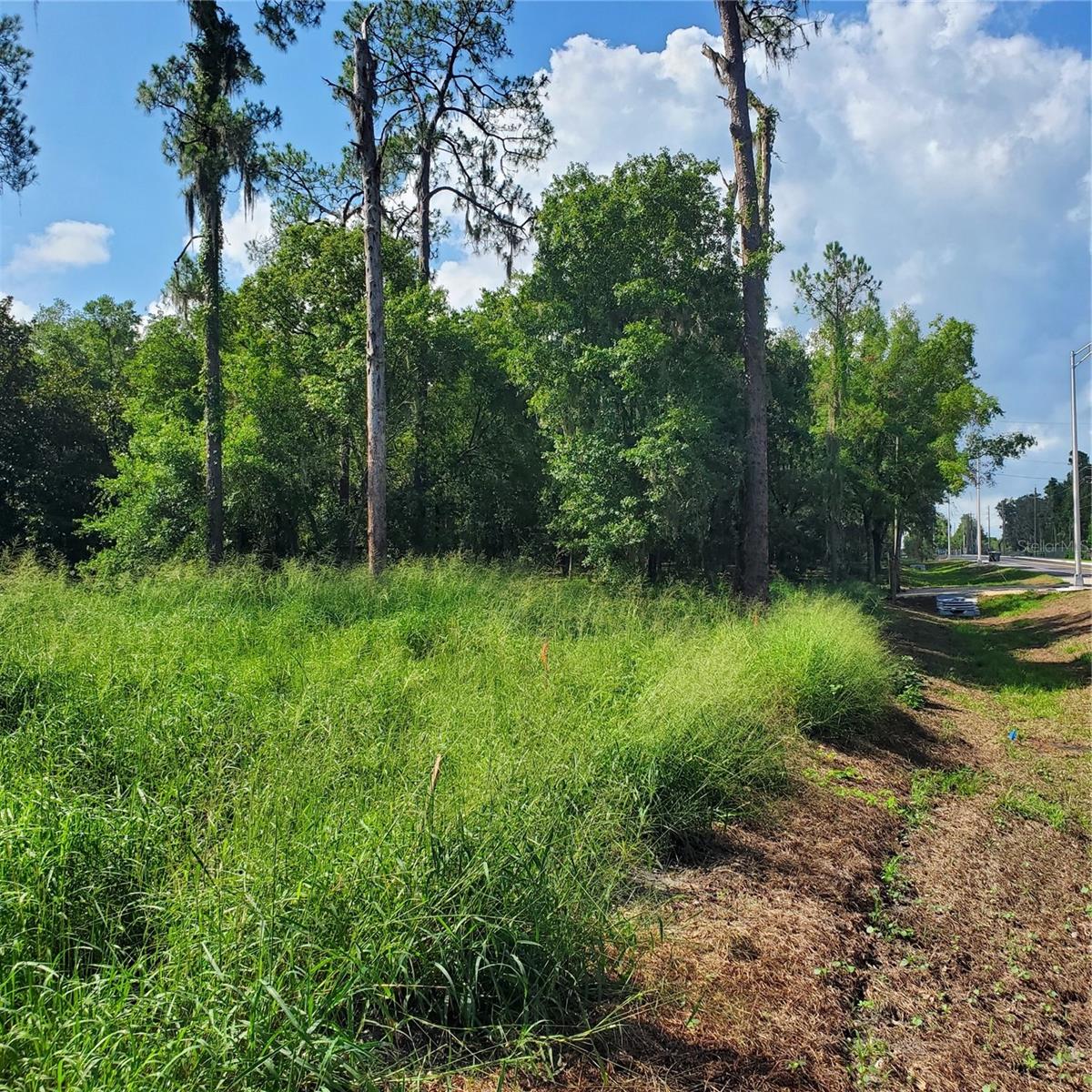 POLLARD ROAD, WINTER HAVEN, FL — photo 16