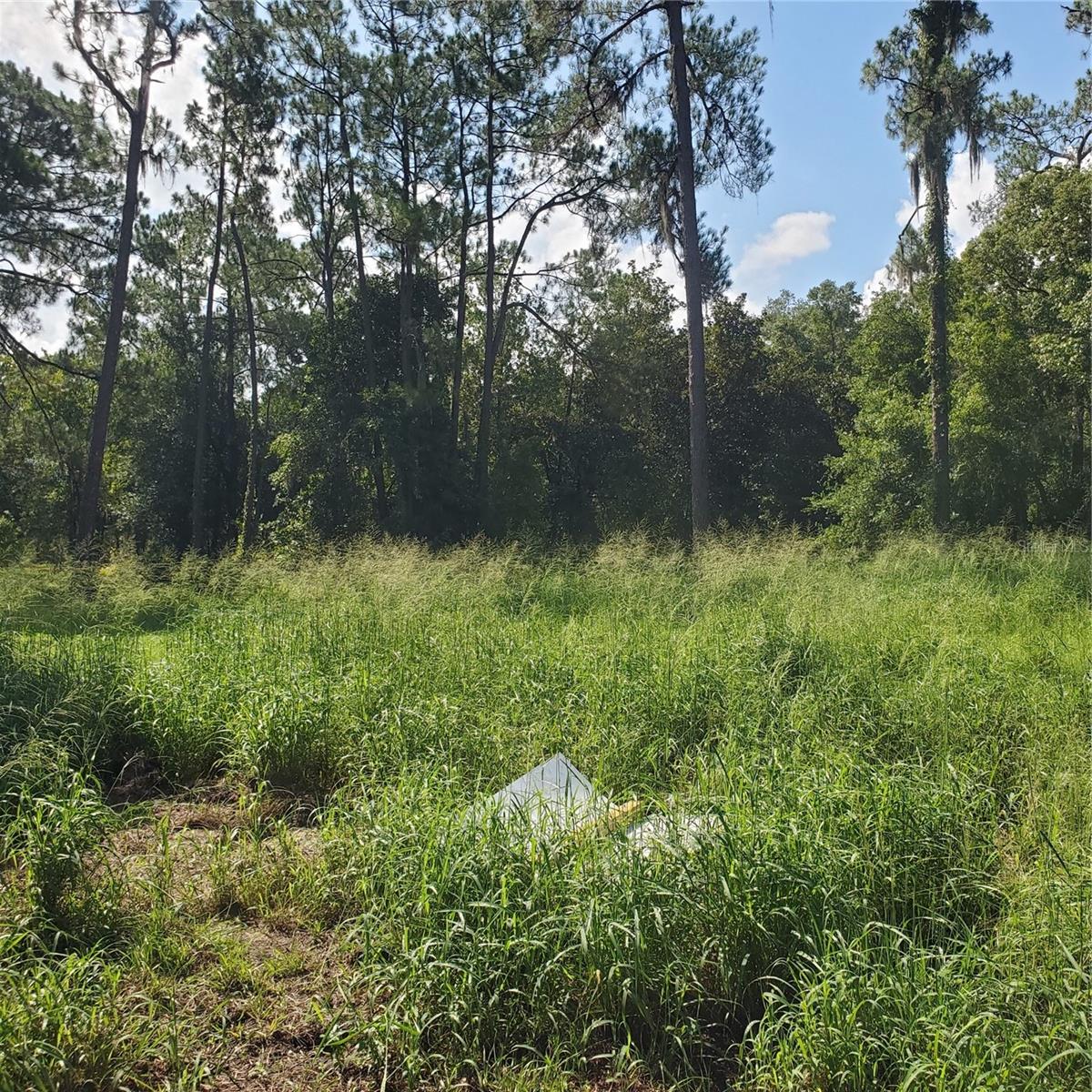 POLLARD ROAD, WINTER HAVEN, FL — photo 17
