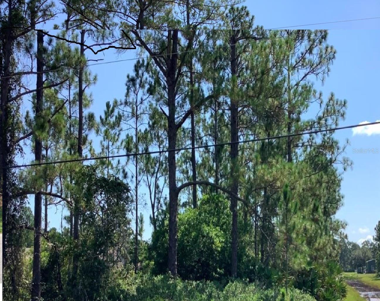 CAESAR AVE, ORLANDO, FL