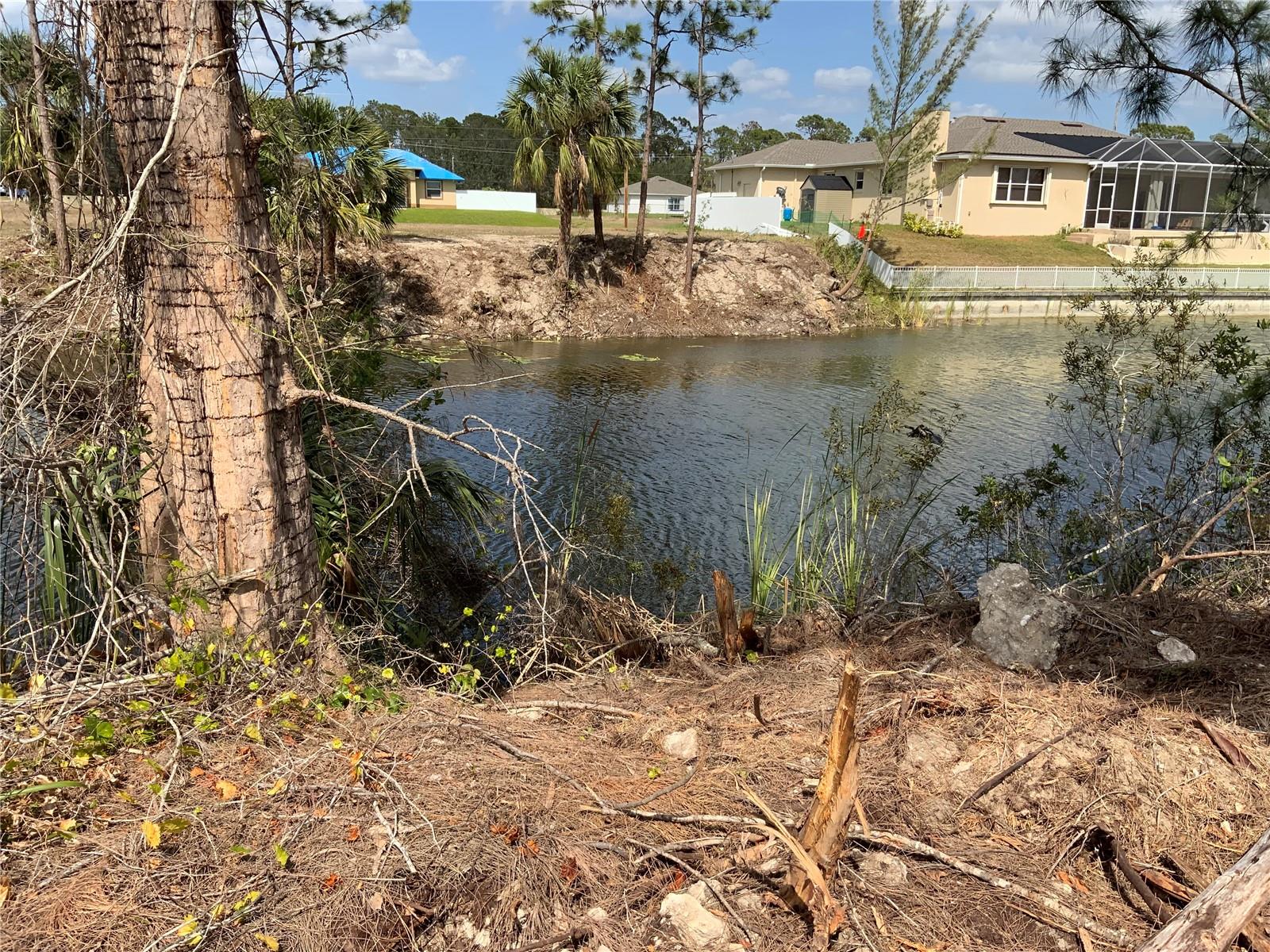 323 NE 31ST ST, CAPE CORAL, FL — photo 3