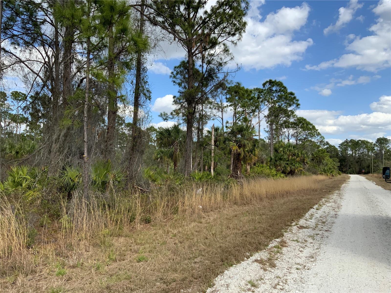 4219 E 30TH ST, ALVA, FL — photo 3