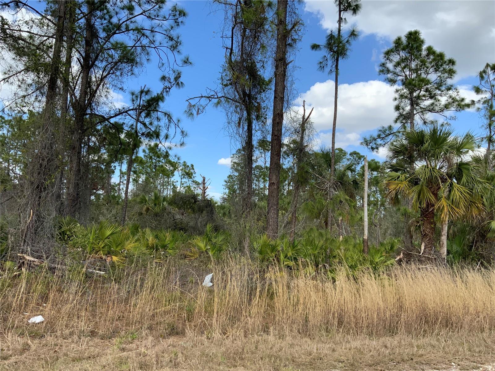 4219 E 30TH ST, ALVA, FL — photo 5