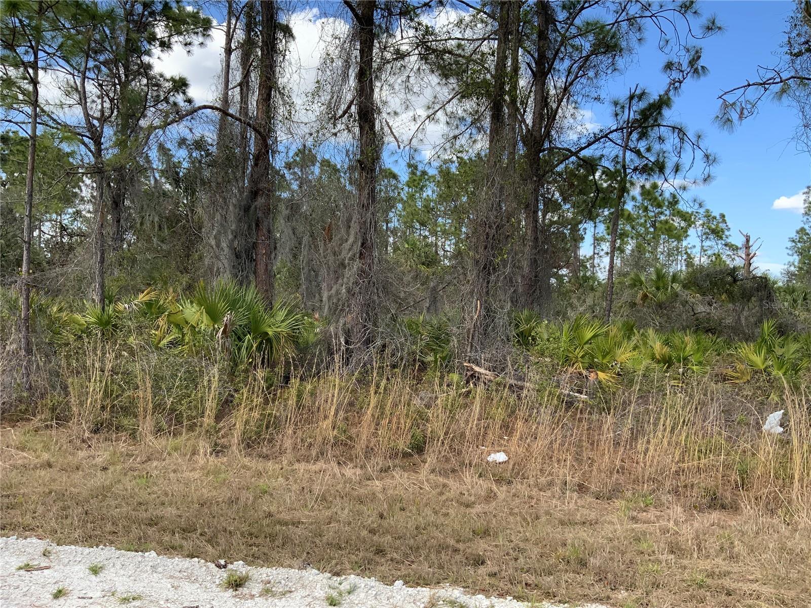 4219 E 30TH ST, ALVA, FL — photo 6